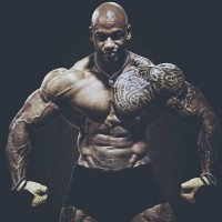 BlackbullGiampy