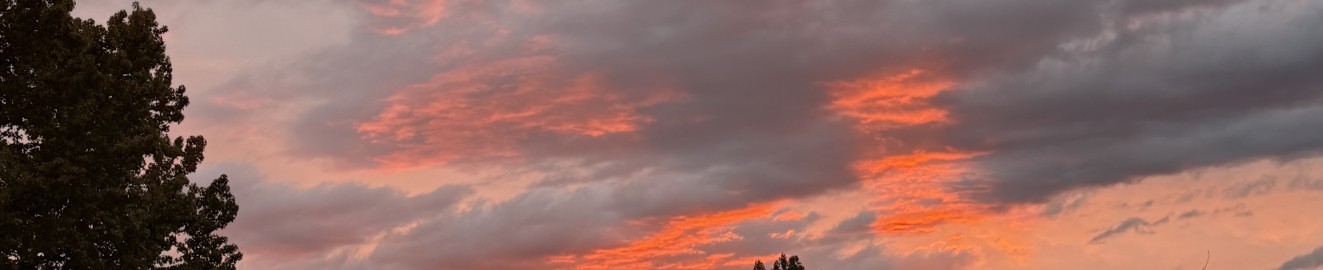 fuzzylilpeach69