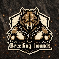 Breeding Hounds