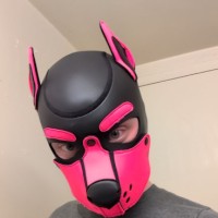PuppyBoiScoops