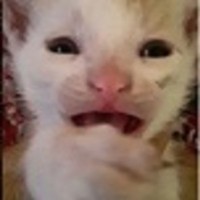 SmossieCutie