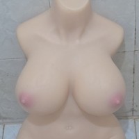 Dangrub