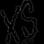 XSgirl