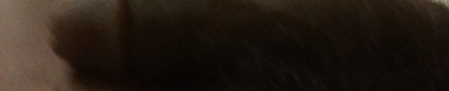 Meat