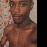lilbrickd
