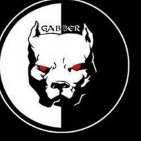 LangeGabber95