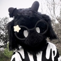 roxtarjoey