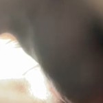 Beccassecret