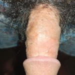 TheSoloHandy