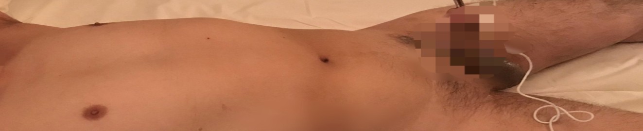 Japanese Hentai Mazo