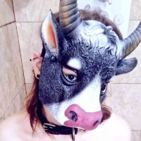 ElsieCow