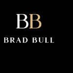Brad bull