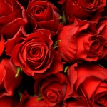 Sexykitty Arabella Tenty