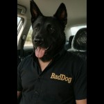 BadDog