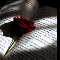 Darkromancelover