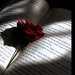 Darkromancelover