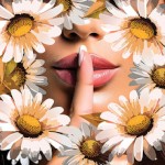 Whispering Daisy