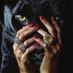 Bad cat