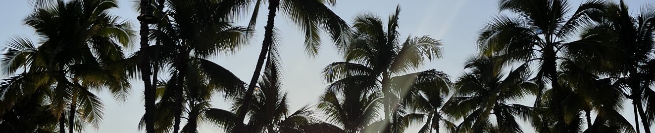 DominicanMapi