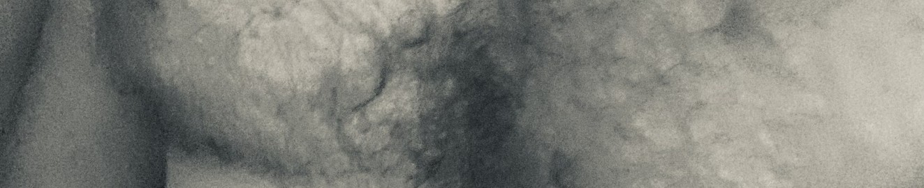 Partner of BustySecretGF