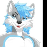 HuskTheHuskie
