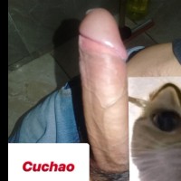 Luxyn