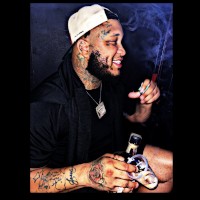 QSoloDolo
