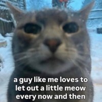 HorseGirlStudGuy
