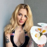 SweetArtist