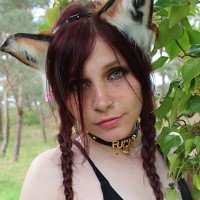TheLittleFox