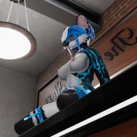 Zepher fox