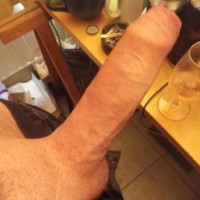 Vince XL