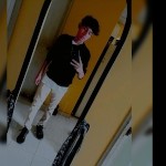 OliCD