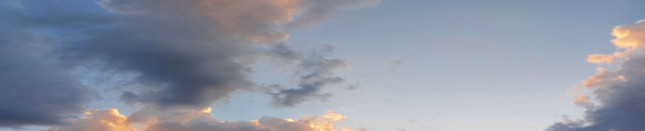 Pornhub banner for @julien