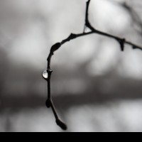 Justcurious245