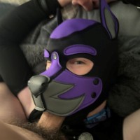 Pup Feilim