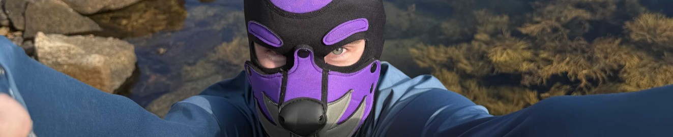 Pup Feilim