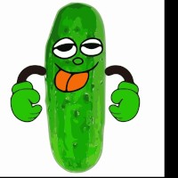 Kolibrik