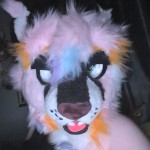 WiltshireFurry 