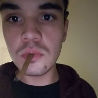panicsoyozone