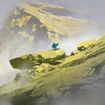 Emerald Forest
