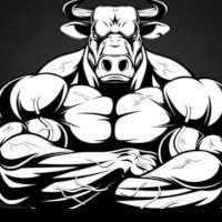 Hungbull7