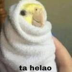 头像