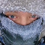 MichaelP