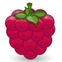 Raspberry Academy
