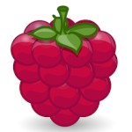 Raspberry Academy