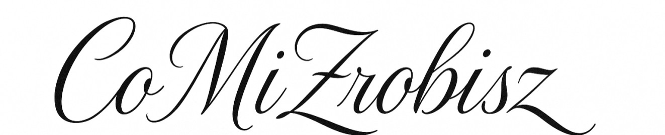 CoMiZrobiszJakMnieZlapiesz