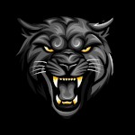 MR BLACK PANTHERS