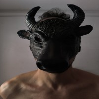 ShadowBullBCN