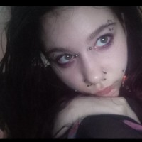 k1tty kr4sh0ut